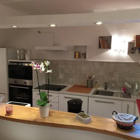 Appartement Chez Tante Germaine Straatsburg